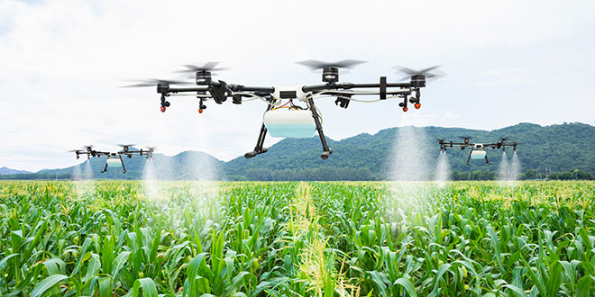 Drones spraying pesticide treatment over corn field