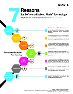 7 Reasons for SEF Infographic