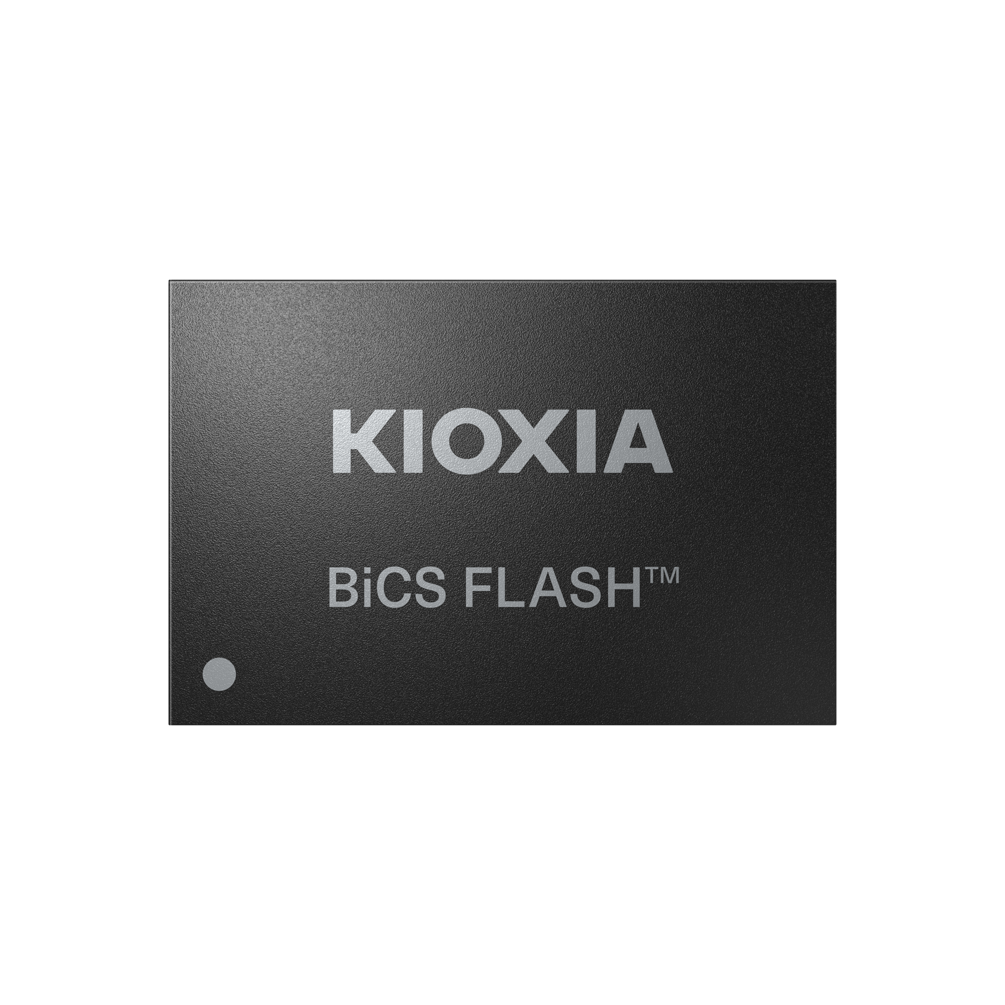 KIOXIA BiCS FLASH