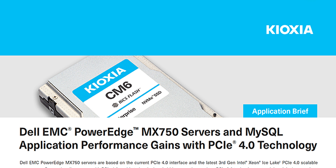 Dell Kioxia - Kioxia - 512GB - M.2 2230 NVMe SSD - 6GB/s