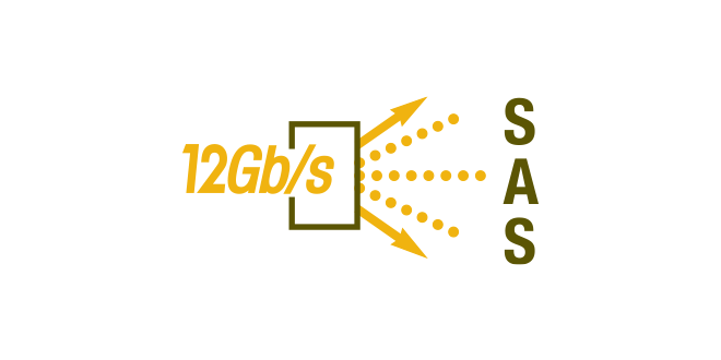 Logotipo SAS de 12G 